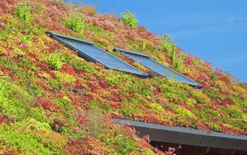Edingthorpe Green living roof systems
