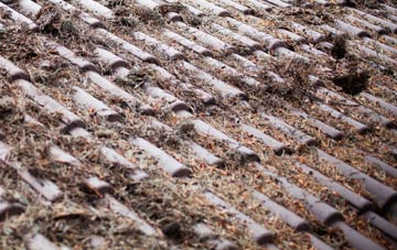 Edingthorpe Green roof cleaning companies