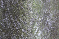 Edingthorpe Green fibreglass roof work